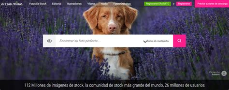 dreamstime images|dreamstime banco de imagens.